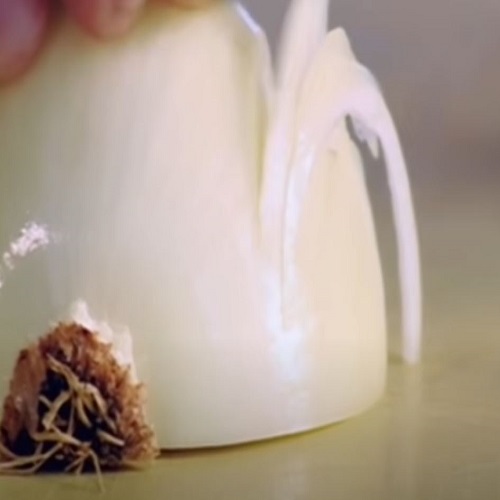 How To Cut an Onion